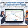 microsoft _project